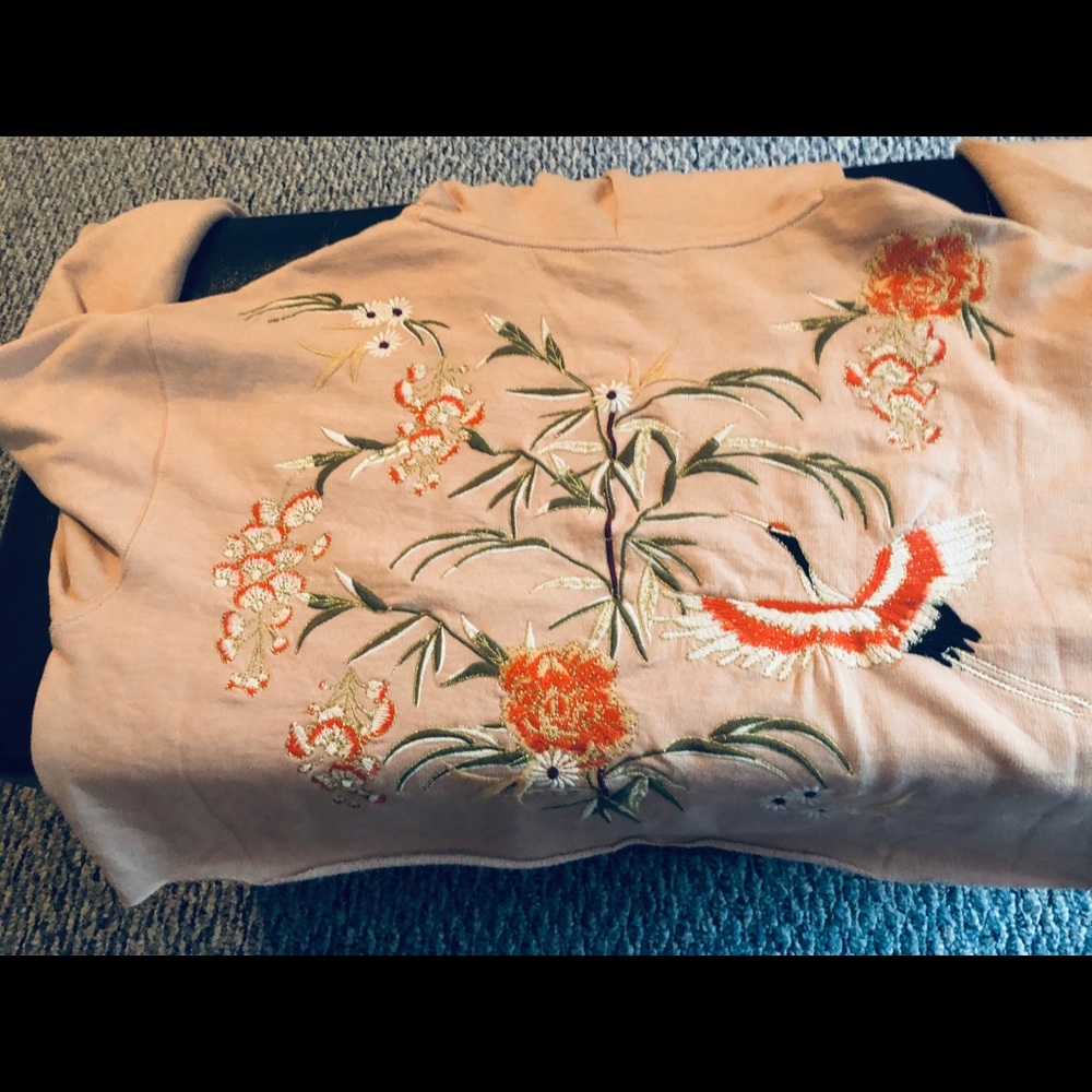 Urban Outfitters Cropped Hoodie. NWOT Beige Sz M